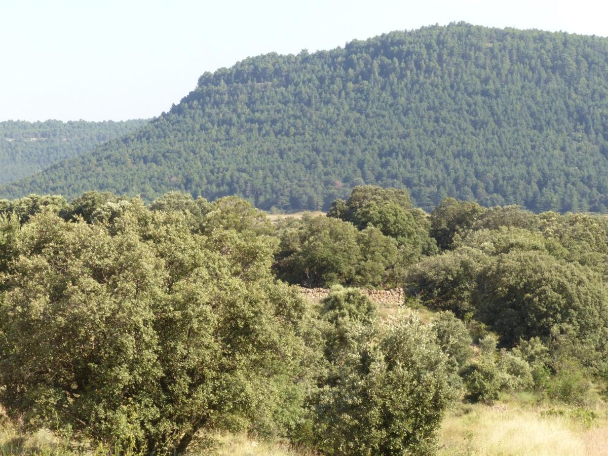 Molino Dolz Βίλα La Iglesuela del Cid Εξωτερικό φωτογραφία