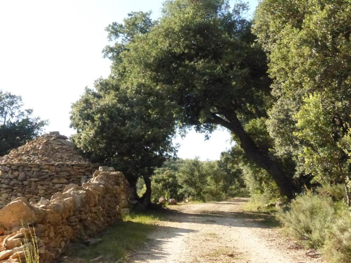 Molino Dolz Βίλα La Iglesuela del Cid Εξωτερικό φωτογραφία