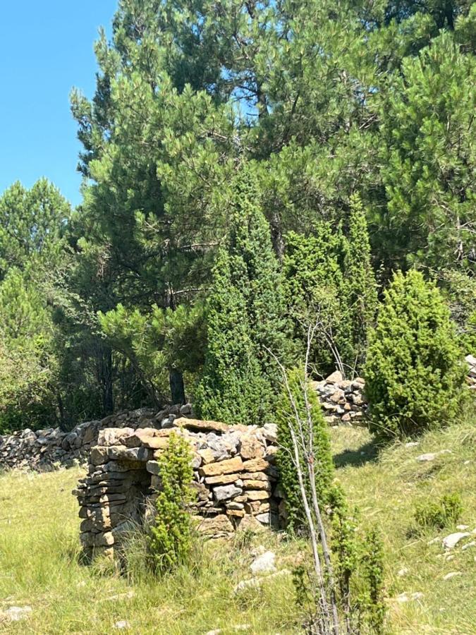 Molino Dolz Βίλα La Iglesuela del Cid Εξωτερικό φωτογραφία